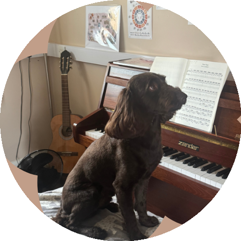 Holly's dog sitting in front of the piano
